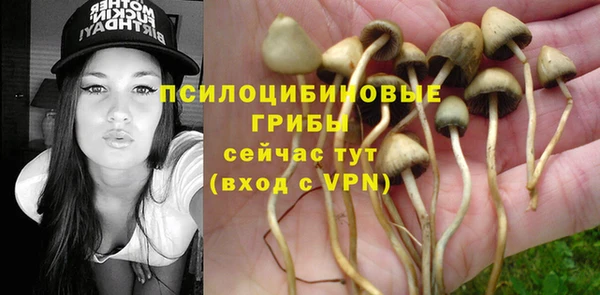 МДПВ Бронницы
